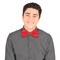 12 Pack Bulk Red Bow Tie One Size Fits Most with Elastic Band